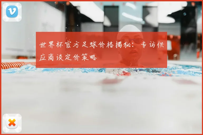 世界杯官方足球价格揭秘：专访供应商谈定价策略