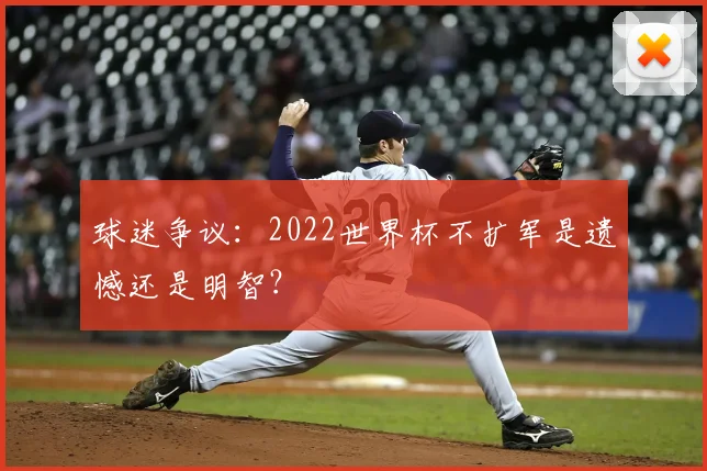 球迷争议：2022世界杯不扩军是遗憾还是明智？