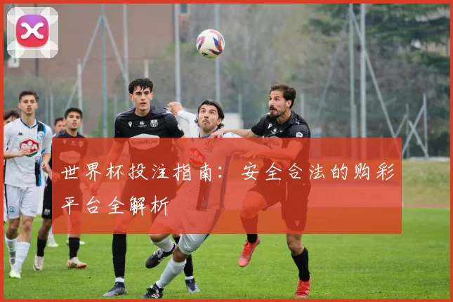 世界杯投注指南：安全合法的购彩平台全解析