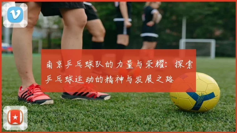 南京乒乓球队的力量与荣耀：探索乒乓球运动的精神与发展之路