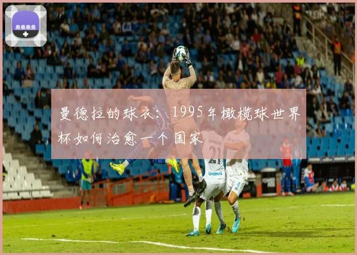 曼德拉的球衣：1995年橄榄球世界杯如何治愈一个国家