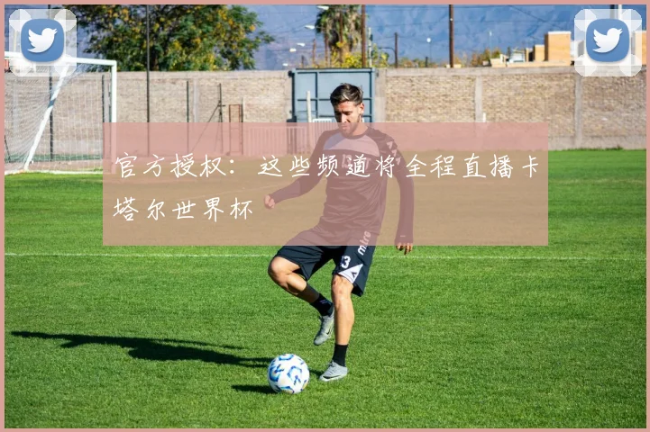 官方授权：这些频道将全程直播卡塔尔世界杯