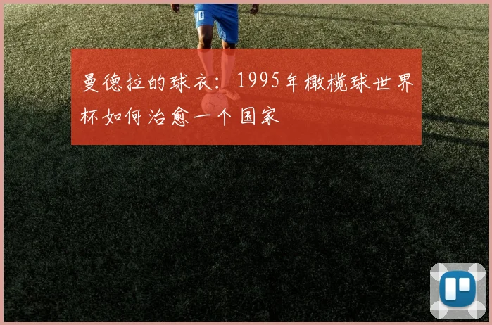 曼德拉的球衣：1995年橄榄球世界杯如何治愈一个国家