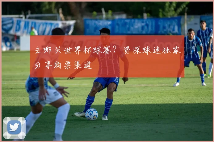 去哪买世界杯球赛？资深球迷独家分享购票渠道