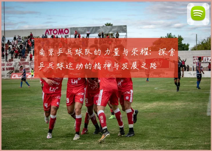 南京乒乓球队的力量与荣耀：探索乒乓球运动的精神与发展之路