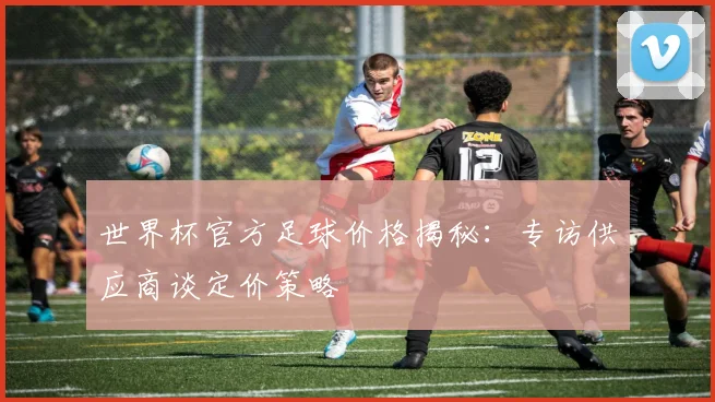 世界杯官方足球价格揭秘：专访供应商谈定价策略