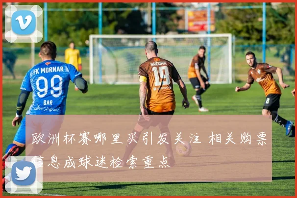 欧洲杯赛哪里买引发关注 相关购票信息成球迷检索重点