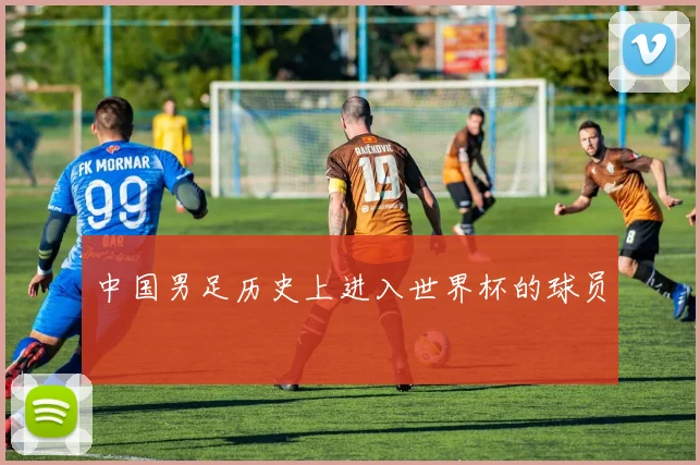 中国男足历史上进入世界杯的球员