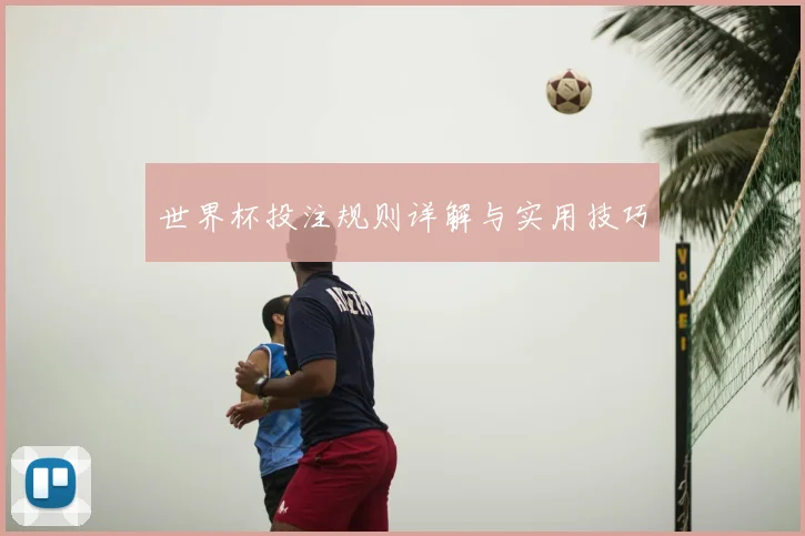 世界杯投注规则详解与实用技巧