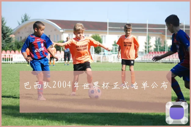 巴西队2004年世界杯正式名单公布