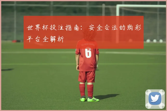世界杯投注指南：安全合法的购彩平台全解析
