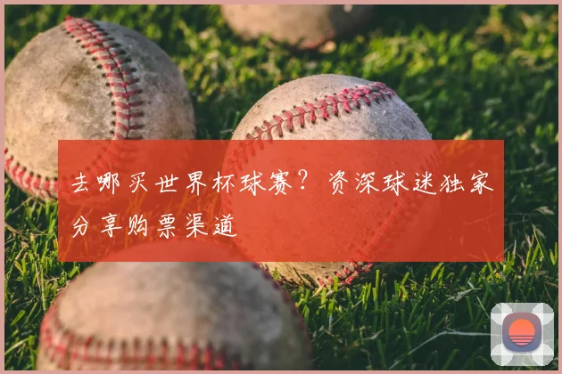 去哪买世界杯球赛？资深球迷独家分享购票渠道