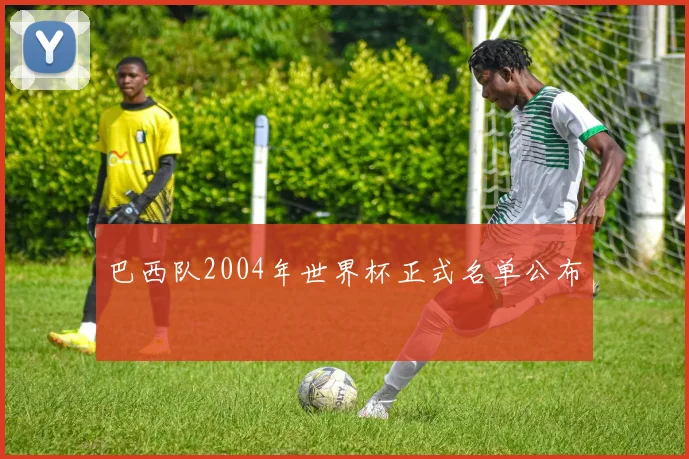 巴西队2004年世界杯正式名单公布