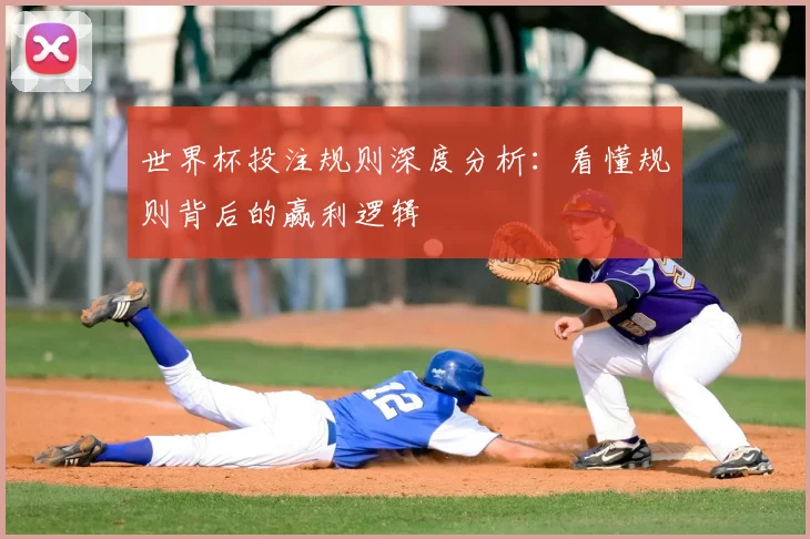 世界杯投注规则深度分析：看懂规则背后的赢利逻辑