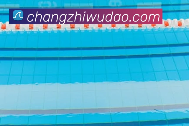 星空体育服务体系