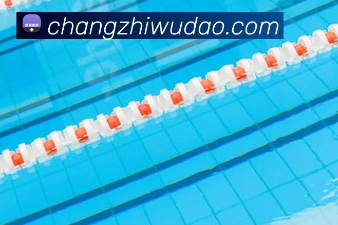 星空体育APP 封面图